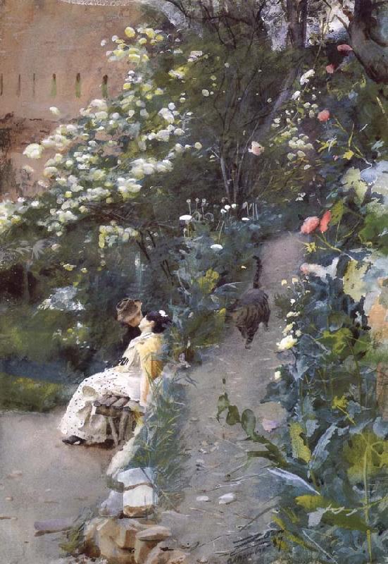 Unknow work 41, Anders Zorn